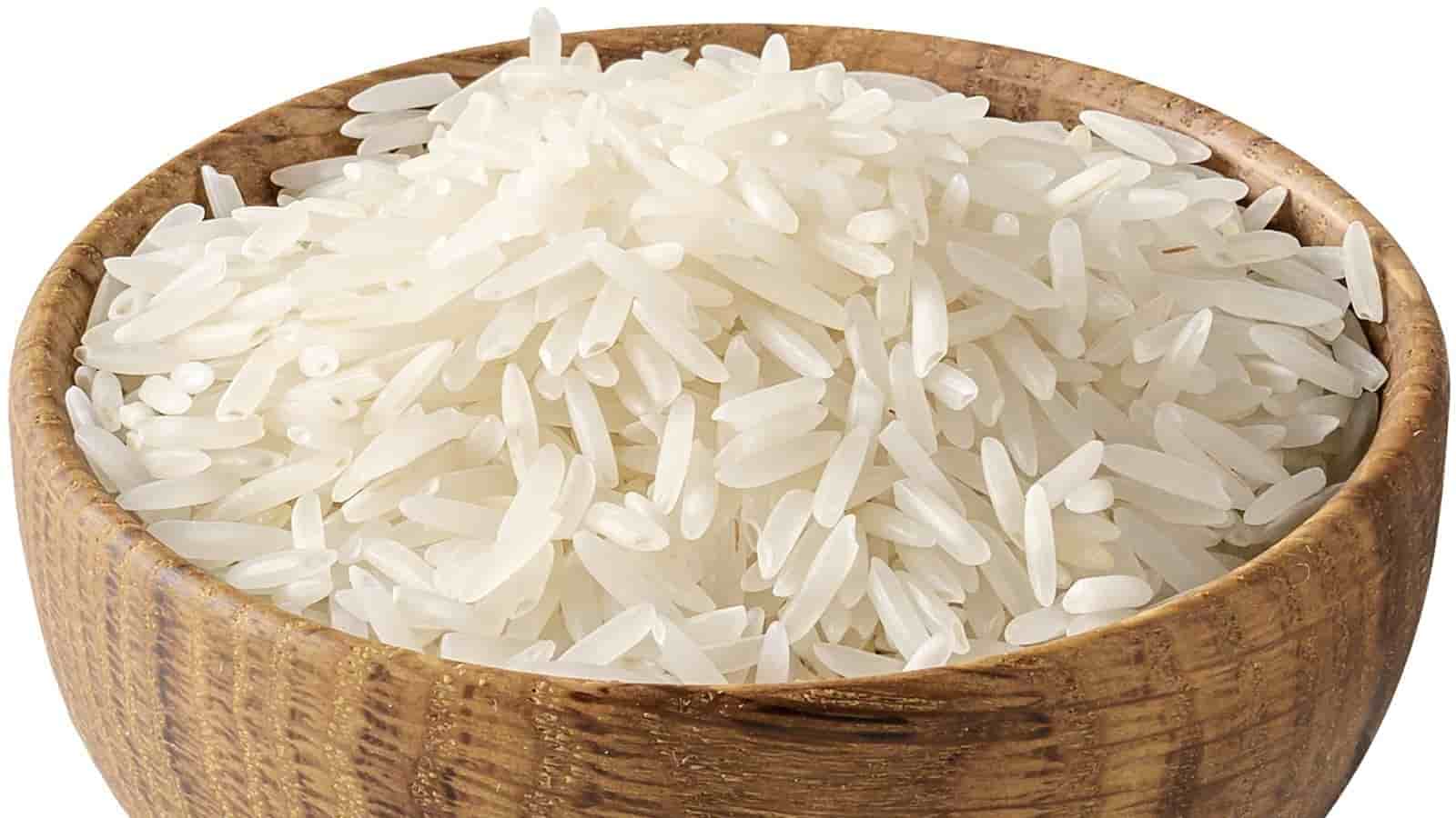 فروش برنج شاهدانه شمال + قیمت خرید به صرفه